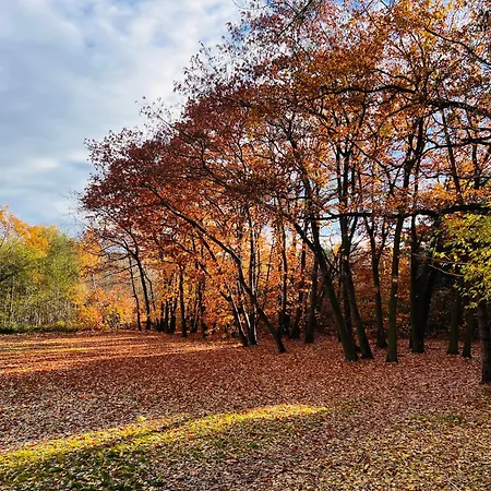 Bursztynowa Zatoka Gdansk